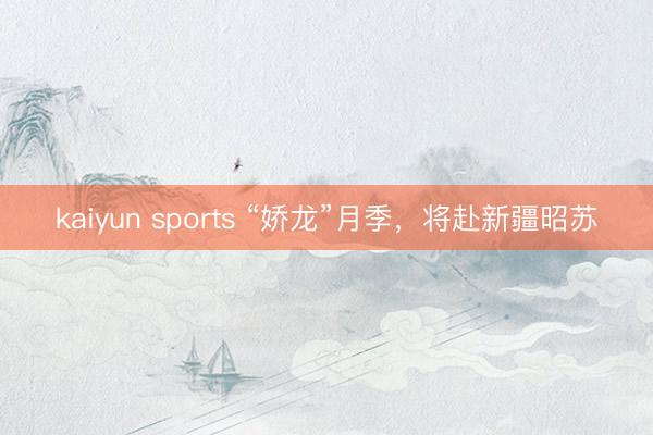 kaiyun sports “娇龙”月季，将赴新疆昭苏