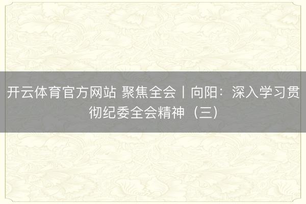 开云体育官方网站 聚焦全会丨向阳:深入学习贯彻纪委全会精神(三)