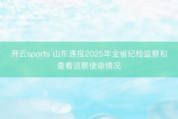 开云sports 山东通报2025年全省纪检监察和查看巡察使命情况