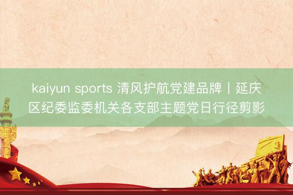 kaiyun sports 清风护航党建品牌丨延庆区纪委监委机关各支部主题党日行径剪影