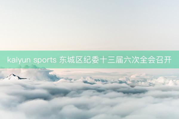 kaiyun sports 东城区纪委十三届六次全会召开