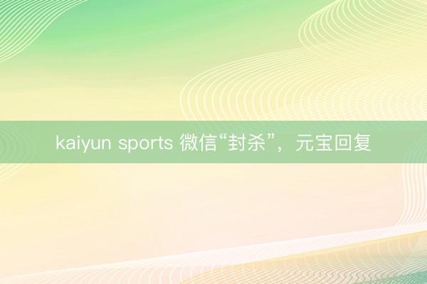 kaiyun sports 微信“封杀”,元宝回复