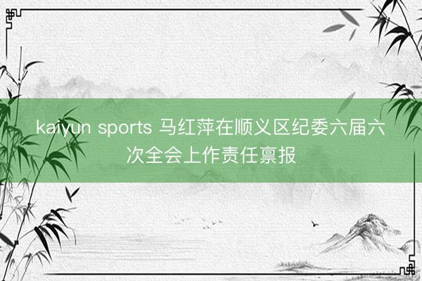 kaiyun sports 马红萍在顺义区纪委六届六次全会上作责任禀报