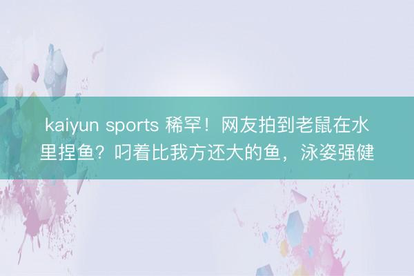 kaiyun sports 稀罕！网友拍到老鼠在水里捏鱼？叼着比我方还大的鱼，泳姿强健