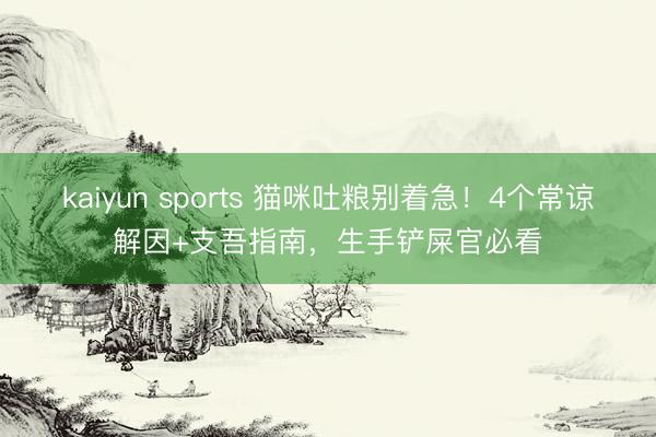 kaiyun sports 猫咪吐粮别着急！4个常谅解因+支吾指南，生手铲屎官必看