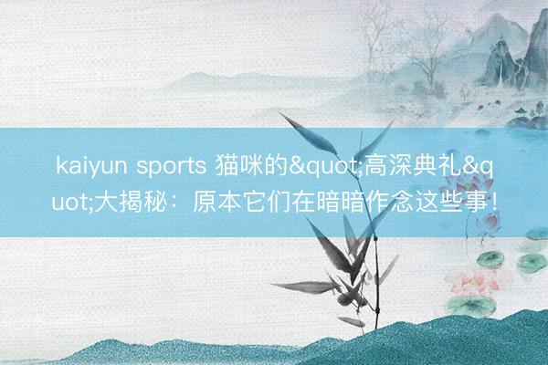 kaiyun sports 猫咪的"高深典礼"大揭秘：原本它们在暗暗作念这些事！