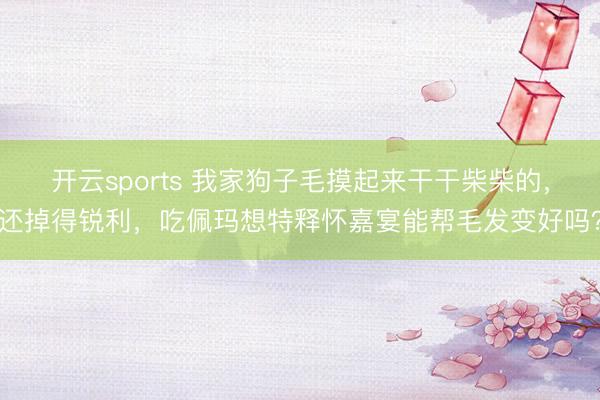 开云sports 我家狗子毛摸起来干干柴柴的，还掉得锐利，吃佩玛想特释怀嘉宴能帮毛发变好吗？