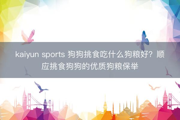kaiyun sports 狗狗挑食吃什么狗粮好？顺应挑食狗狗的优质狗粮保举