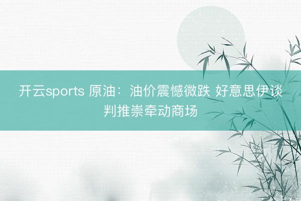 开云sports 原油：油价震憾微跌 好意思伊谈判推崇牵动商场