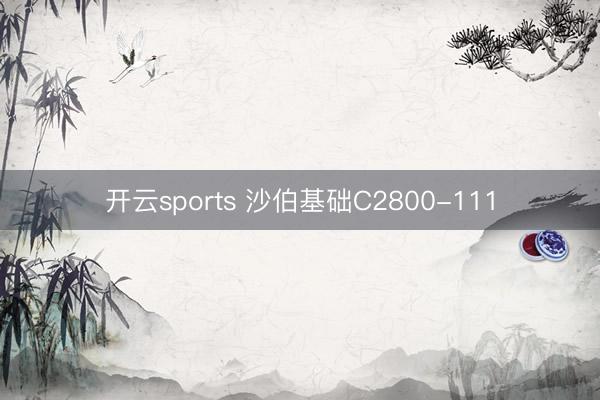 开云sports 沙伯基础C2800-111