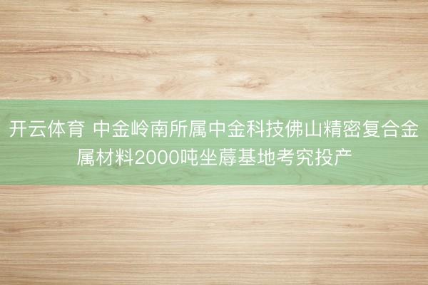 开云体育 中金岭南所属中金科技佛山精密复合金属材料2000吨坐蓐基地考究投产